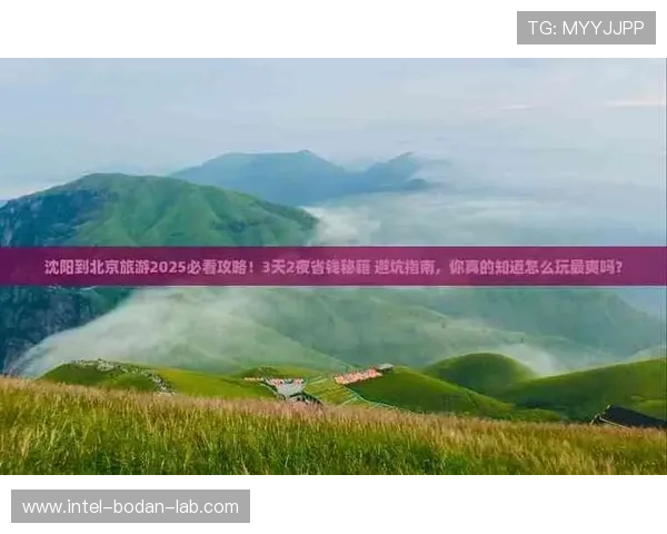 怎么分析波胆最准避坑指南数字高频玩法防骗秘诀